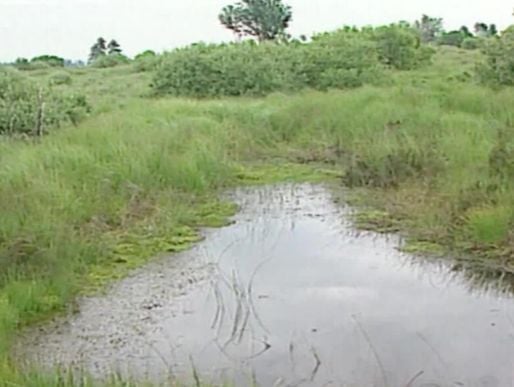 hautes fagnes
